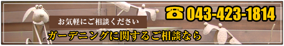 ガーデニングに関するご相談ならお気軽にお問合せください