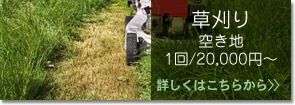 草刈り　空き地　1回/20,000円〜